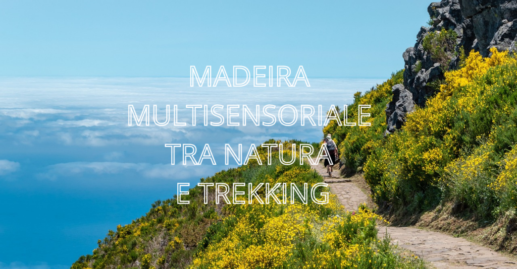MADEIRA MULTISENSORIALE