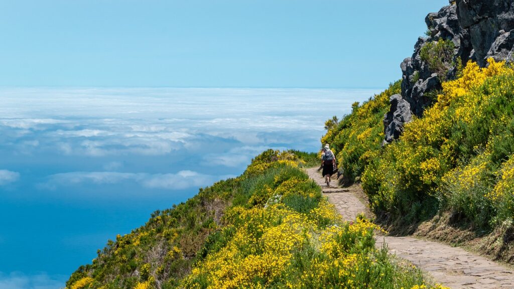 Madeira cammini