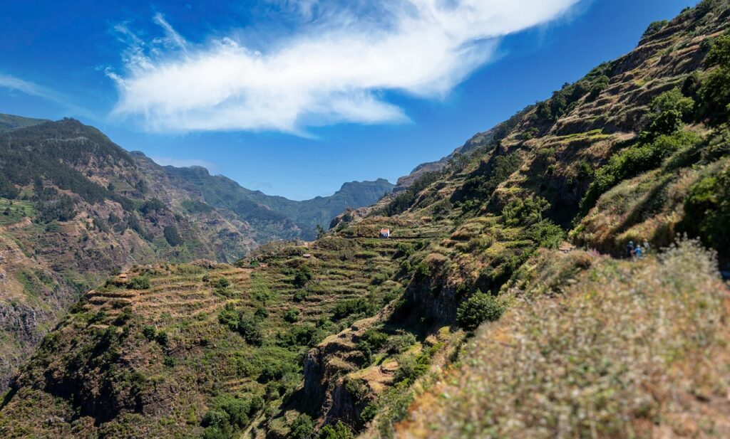 Madeira natura