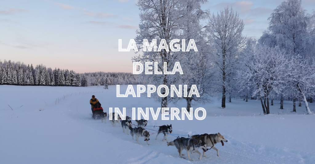LAPPONIA SENSORIALE